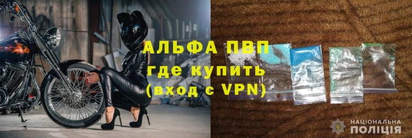 эйфоретик Майский