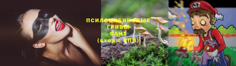 Галлюциногенные грибы Psilocybine cubensis  Жиздра 